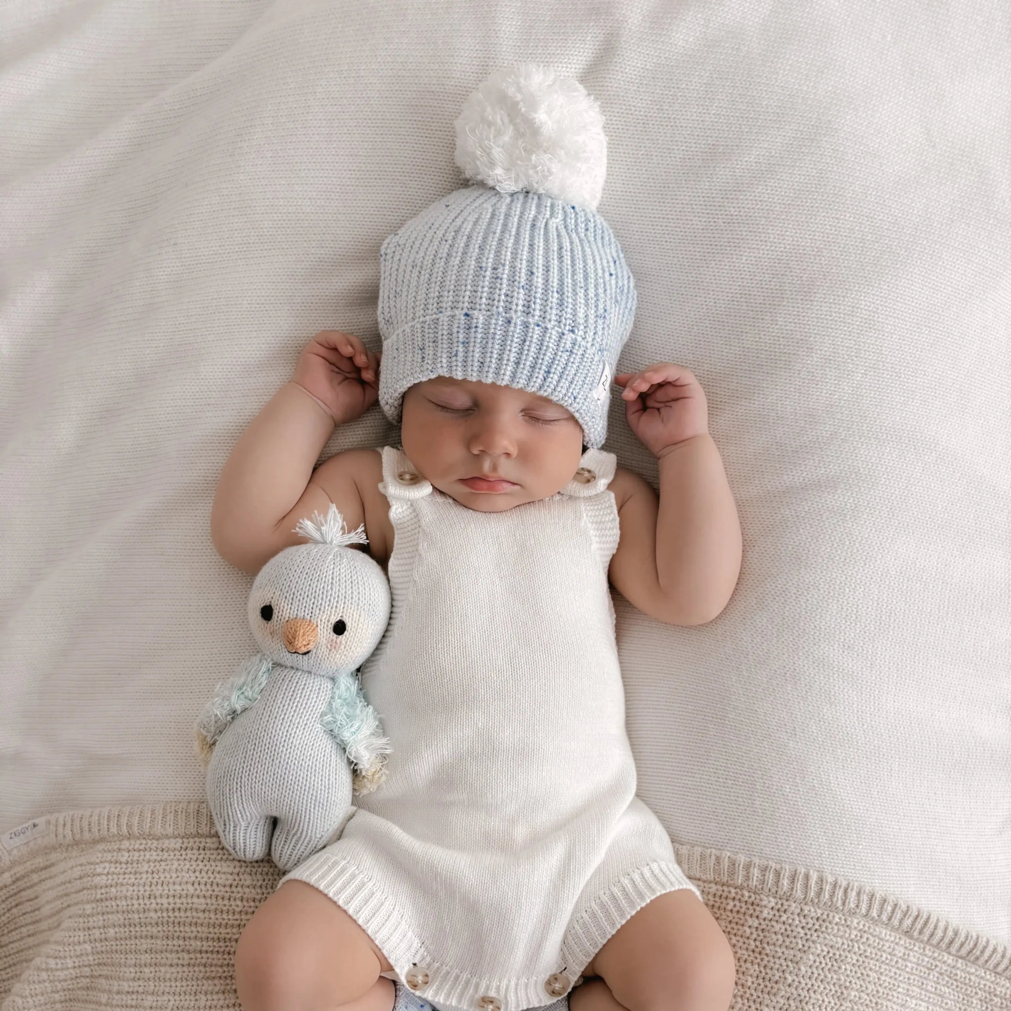 BEANIE | AERO FLECK